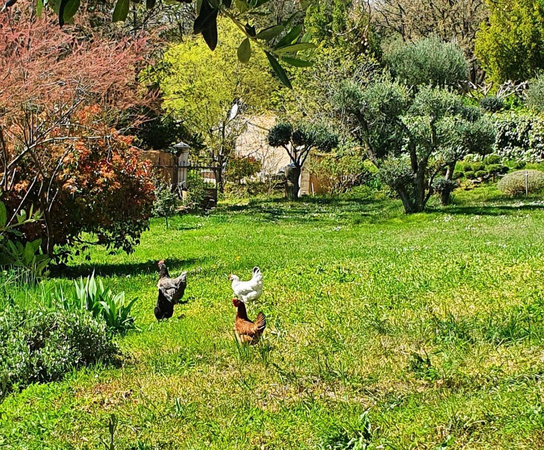 Monteze Paradis Saint-Christol-lès-Alès Buitenkant foto